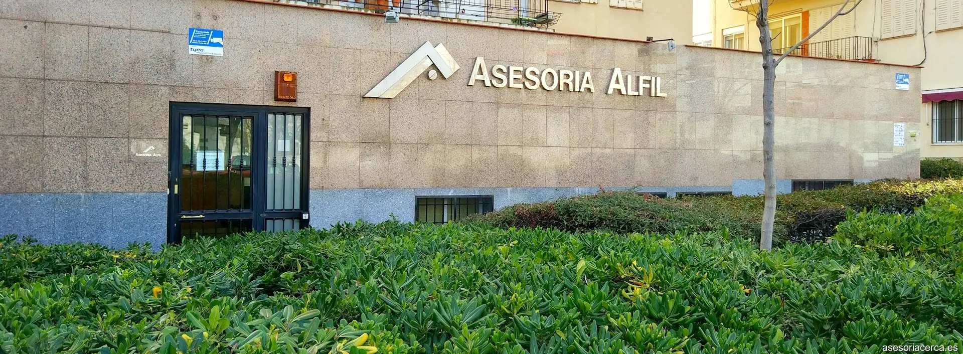 Imagen 2