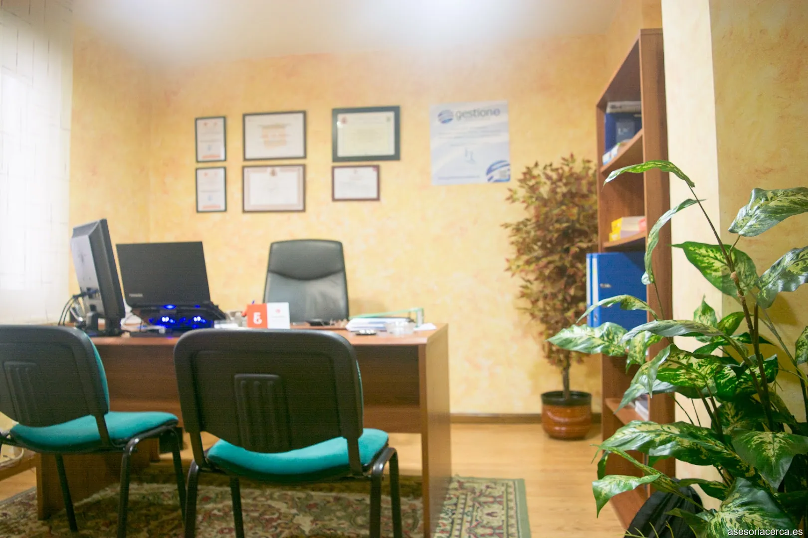 Gestione Asociados