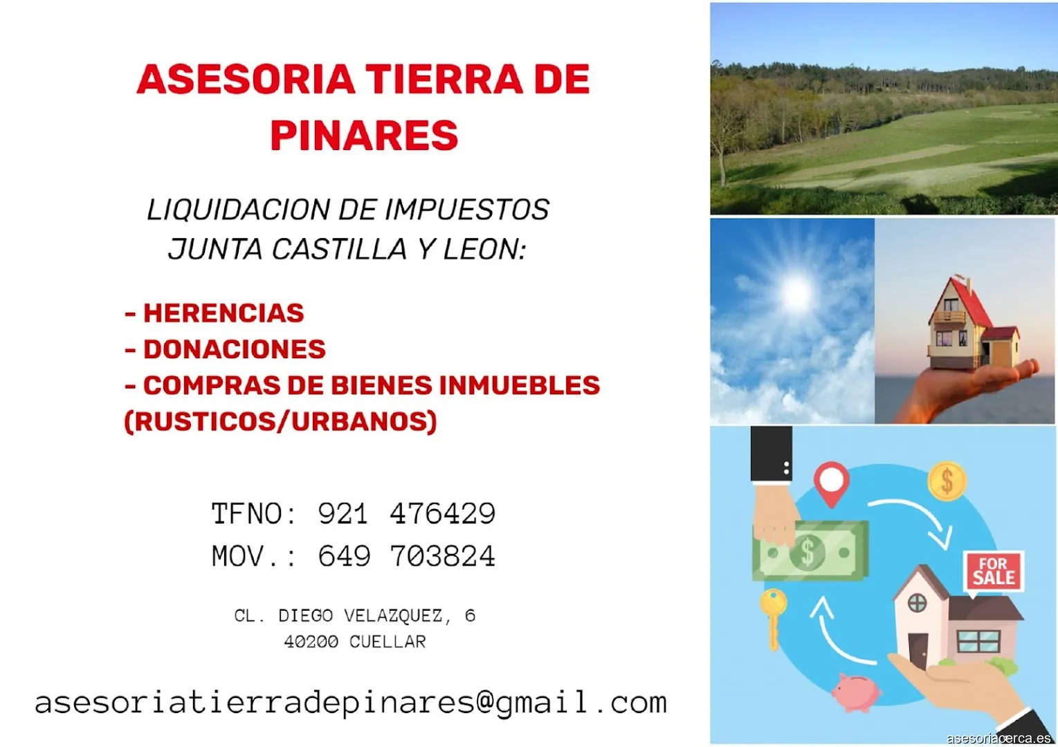 Imagen 3