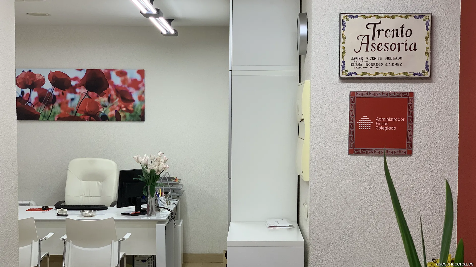 Trento Asesoria