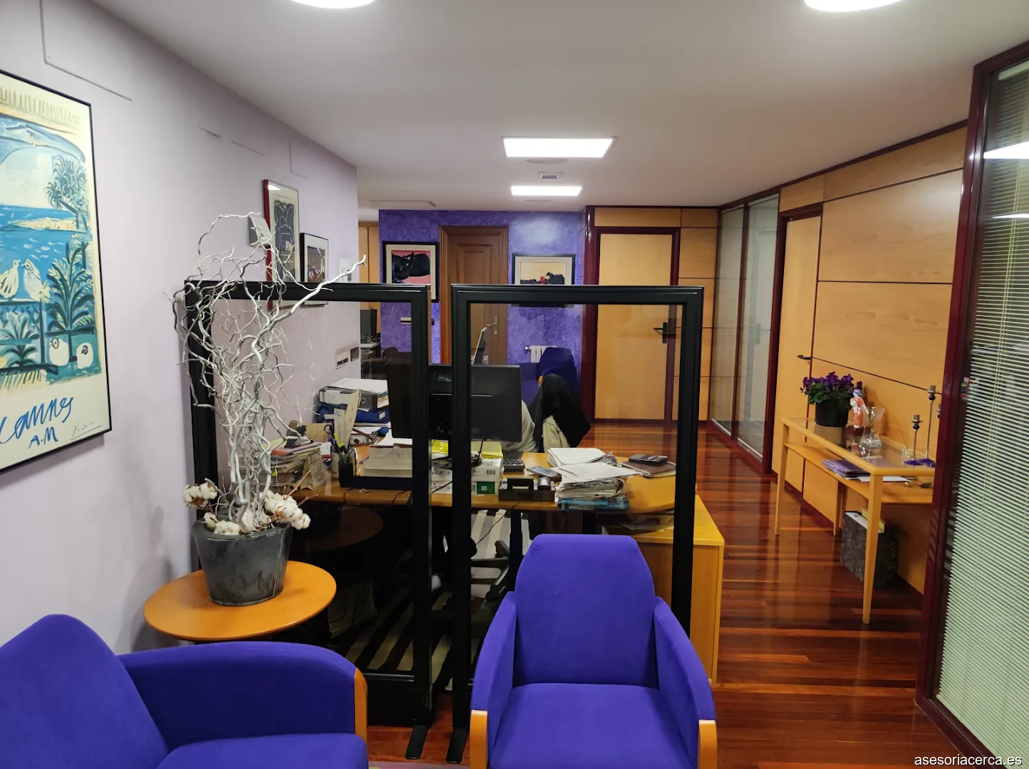 Elevia Consultores, SLP