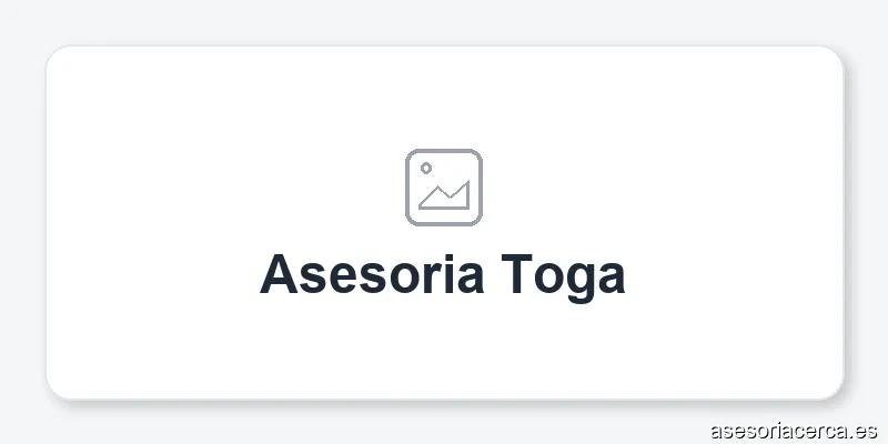 Asesoria Toga